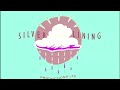 Silver Lining Productions Treehouse Nelvana Nickelodeon 2002 2009 Effects Preview 2 V17 Effects