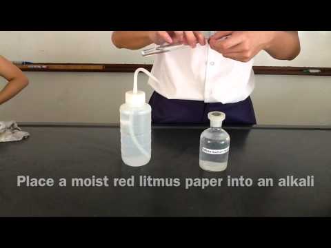 Litmus paper _ alkali