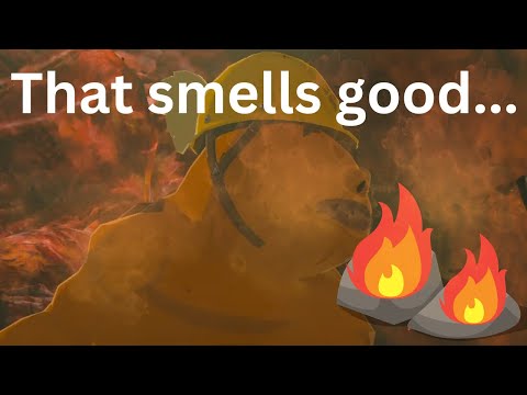 DELICIOUS ROCK ROAST BOTW