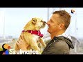 Guy Adopts Stray Dog Who Followed Him On Race The Dodo Soulmates