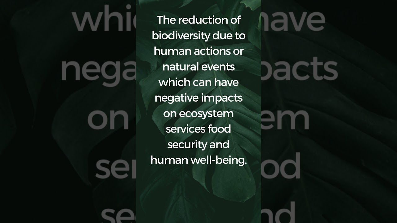 The Threat to Life on Earth #biology #environmentalscience #biodiversity #conservation #ecology