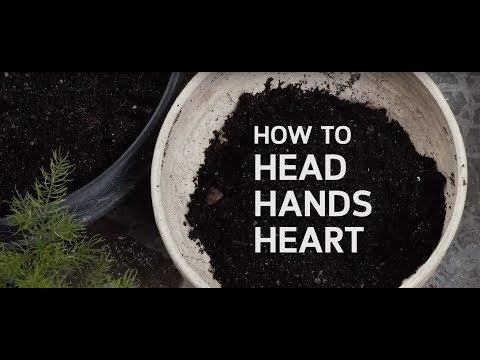 เรียนรู้โลกธรรมชาติ ฝึก Heart Hands Head ใน "เด็กเล็ก" ให้สมบูรณ์