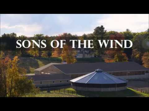 Sons of the Wind presents Harry Potter HM FOR SALE