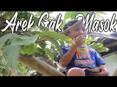 arek-gak-masok-osi-channelfilm-komedi