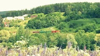 preview picture of video 'Siaurukas į Rubikius; Lithuanian narrow gauge railway. УЖД в Литве'