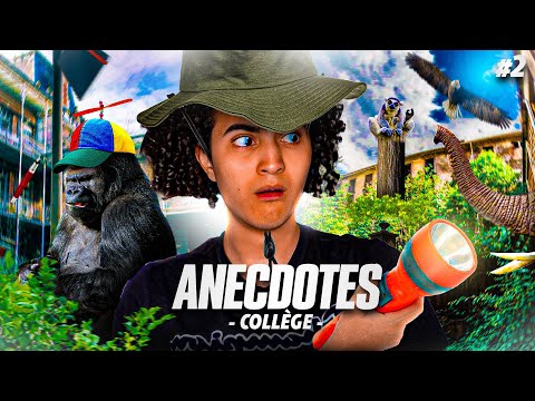 MON COLLÈGE C’ÉTAIT LE ZOO !! (le collège le plus fou de France)