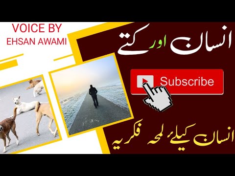 انسان اور کتے۔ . Humans and dogs || #islamicvideo #islamic  #ehsanawami