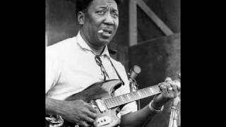 Muddy Waters - Tiger in Your Tank HQ
