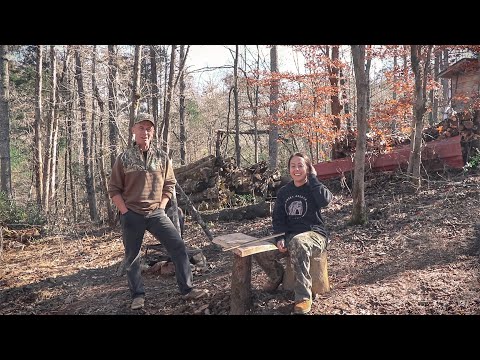 BUILDING AN OFF GRID CABIN | WOODLAND UPDATE & FRONT END TRACTOR FORKS