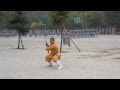 Shaolin Temple Kung Fu - Two Handed Broadsword
