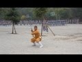 Shaolin Temple Kung Fu Two Handed Broadsword