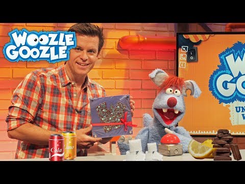 Was macht Zucker in unserem Körper? l WOOZLE GOOZLE