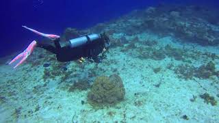 Cozumel 2023, Day 4, Dive 2, Part 3
