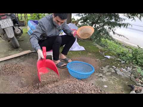 phân loại hạt xỉ than Bác nông dân