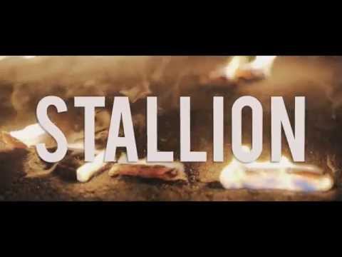 Stallion- Sun Out (Official Video)
