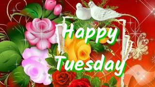Happy Tuesday.. Good Morning Video..Beautiful Whatsapp Video..Messages.Wishes..Sweet Status Video...
