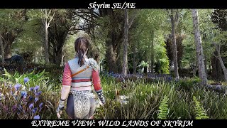 EXTREME VIEW - Wild Lands of Skyrim - TKV6 ENB - Ray Tracing GI - DynDOLOD 3_0