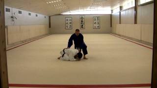 Diagonal Turnover to Sode Guruma Jime (or Juji Gatame)