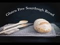 How To Make Gluten Free Sourdough Bread ...