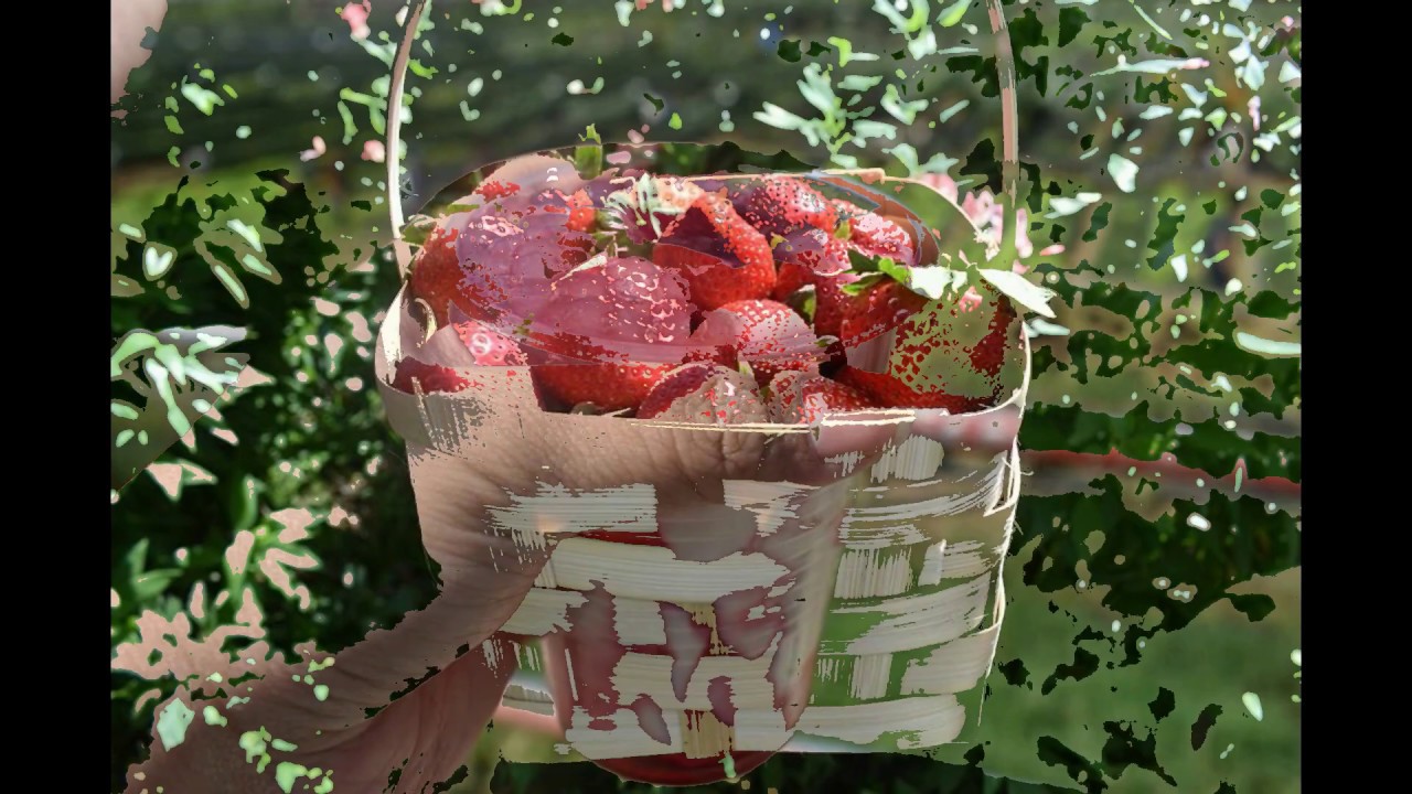 Putar video TRAVELOGUE IN BAGUIO sekarang TRAVELOGUE IN BAGUIO