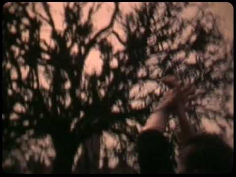 ZIYO GLORIA  -  1991