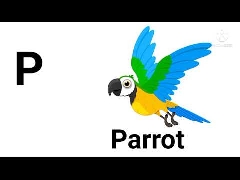 A B C D Learn english alphabet