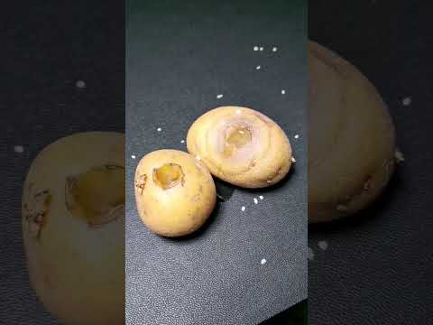 Osmose Experiment mit Kartoffel