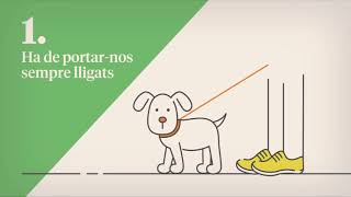 Gossos als espais públics