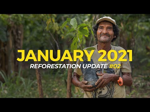 The Orca Reforestation Project | Reforestation Updates Episode 2 | One Tree Planted