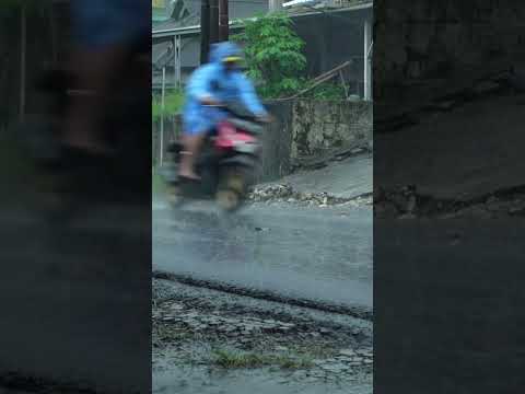 Thunderstorm, howling wind, and heavy Rain sounds - Manor house ambience [3 hours]