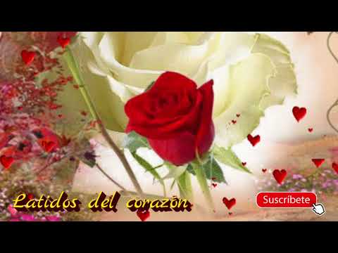 Marimba primavera tropical vol 05 LATIDOS DEL CORAZÓN.