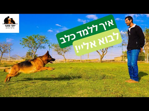 תמונה של أكثر من صديق