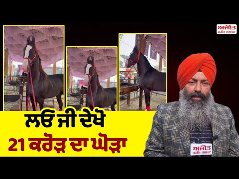 ਮਾਘੀ ਮੇਲੇ 'ਚ 21 ਕਰੋੜ ਮੁੱਲ ਦਾ ਡੇਵਿਡ ਮਾਰਵਾੜੀ ਘੋੜਾ ਰਿਹਾ ਖਿੱਚ ਦਾ ਕੇਂਦਰ