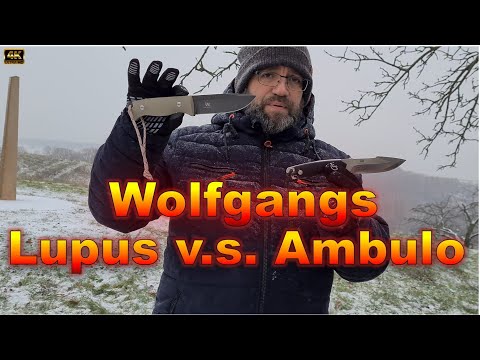 Wolfgangs Ambulo gegen Lupus Was ist für mich besser?