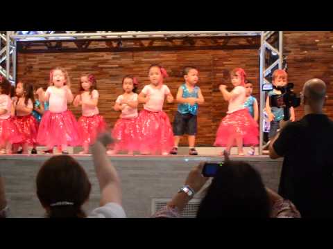 Festa de encerramento 2014 - O Pequeno Sábio