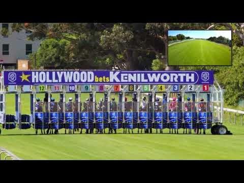 20221105 Hollywoodbets Kenilworth Race 5 won by LOVE IN WINTER