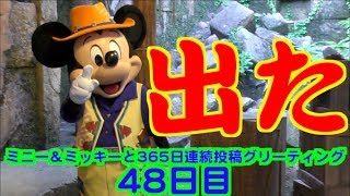 ミニー＆ミッキーと365日連続投稿グリーティング48日目〜出た〜