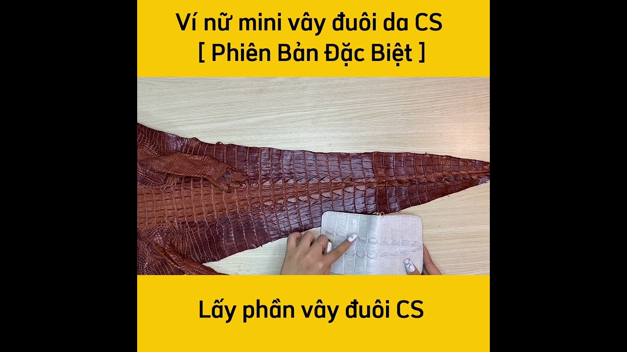 Ví nữ mini cầm tay [PHIÊN BẢN ĐẶC BIỆT ĐỰNG SIÊU NHIỀU ĐỒ]