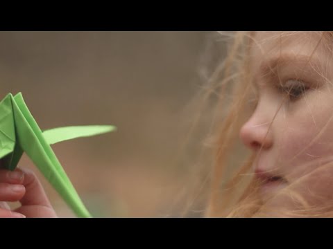 Firewoodisland - Molehills