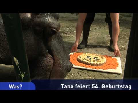 Hessen in 60 Sekunden (25.08.2014)