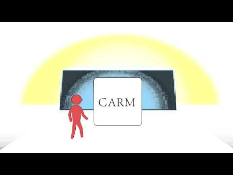 CARMカタログ