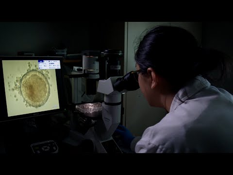 Become a Medical Scientist at Flinders University