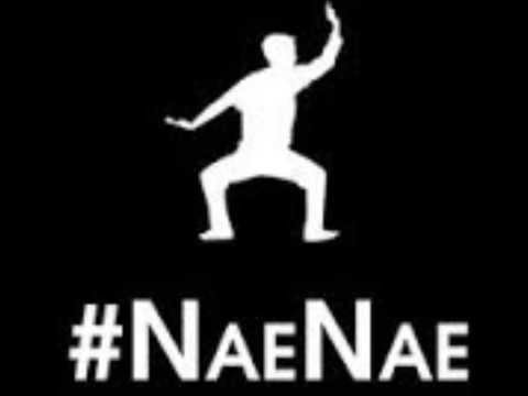 Drop That NaeNae By @WeAreToonz (OFFICIAL #NaeNae Song)