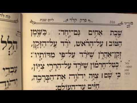 Tehillim psalm 133