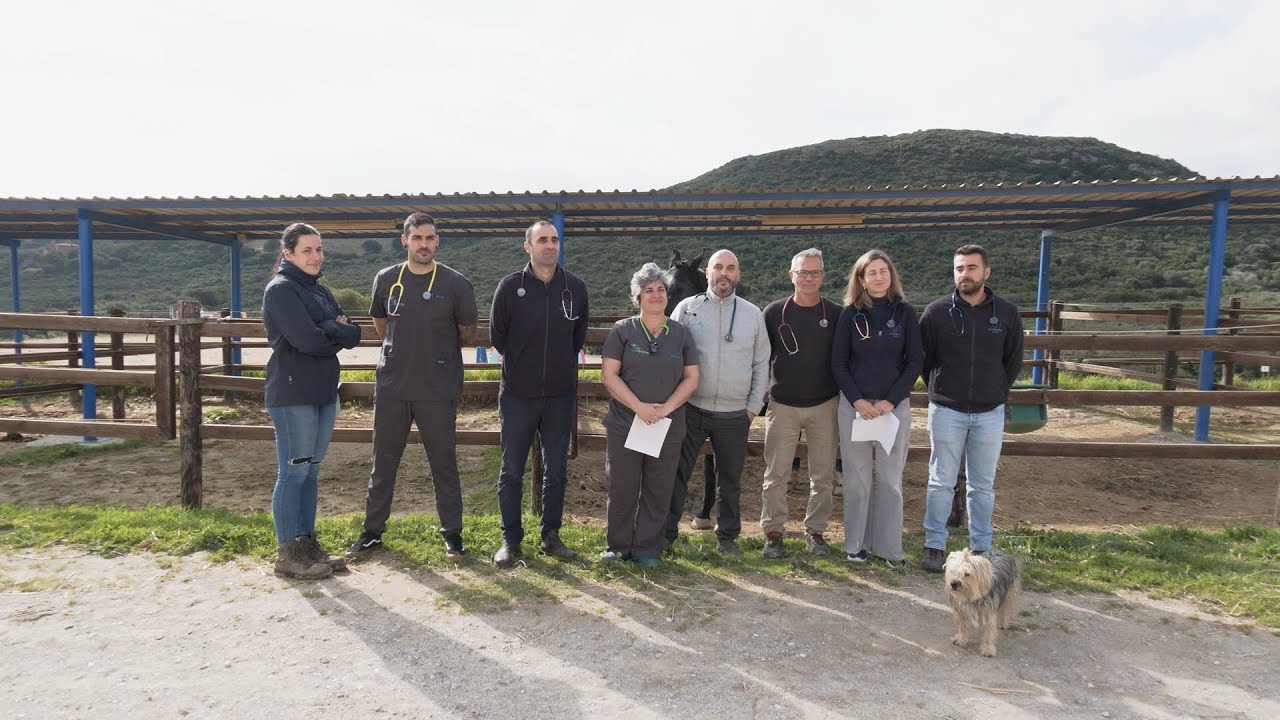 Los veterinarios dicen basta y piden que la salud animal no sea un lujo