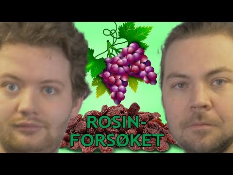 Rosinførsøket 2018 (Skråttcast)