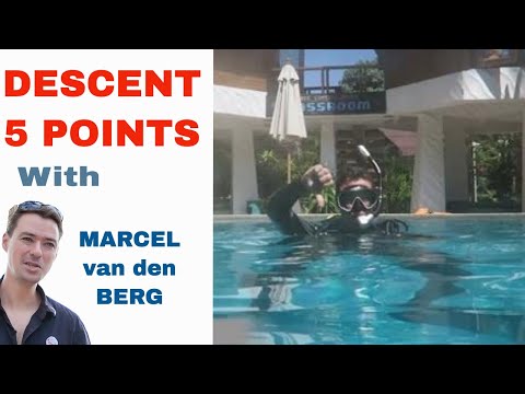 PADI Skill Circuit - New 5 Point Decent over a Sensitive Bottom PADI IDC & Divemaster
