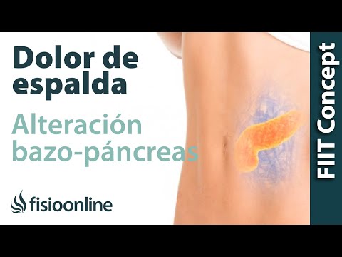 Spleen-pancreas and back pain - How are they related?