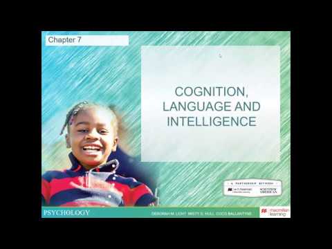 PSY123 Chapter 7 - Cognition, Language, and Intelligence