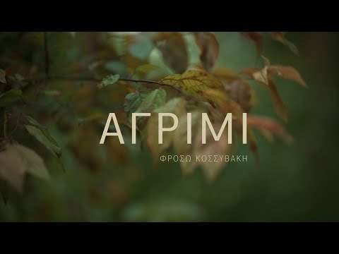 Αγρίμι - Φρόσω Κοσσυβάκη - Official Music Video